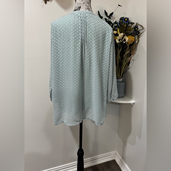 Krazy Kat Mint Green Embroidered Lace Button down Blouse sheer Sleeves size XL - Picture 5 of 10